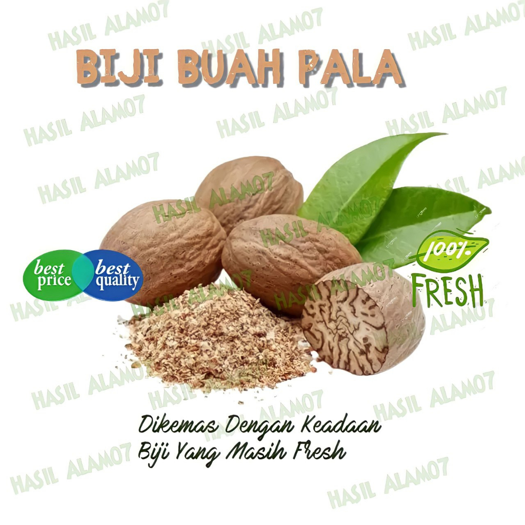 

Biji Pala Rempah Fresh 250 Gram Buah Biji Pala Segar