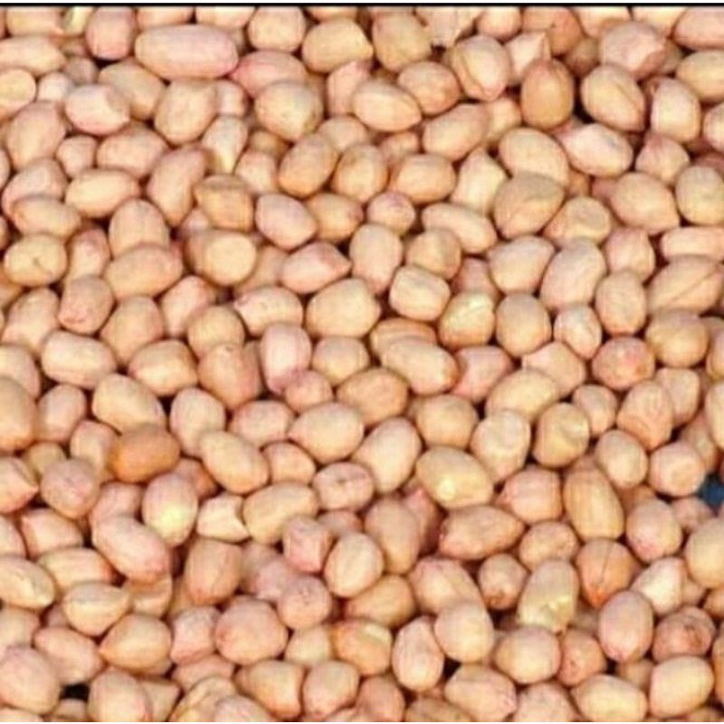

kacang tanah kemasan