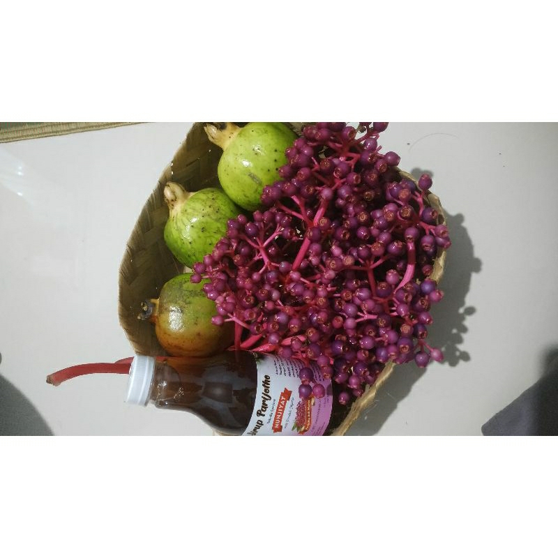 

Promil Paket B ( Sirup Parijoto + Buah Parijoto Segar + Delima )