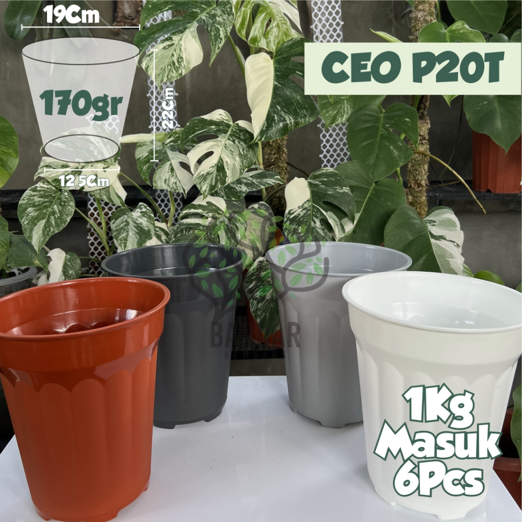 Pot Tinggi CEO Ukuran 20 Pot Tanaman Tinggi Pot Bunga Kualitas Bagus | Pot Bunga Tebal | Pot 20 cm