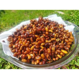 

kacang otok madura enak gurih