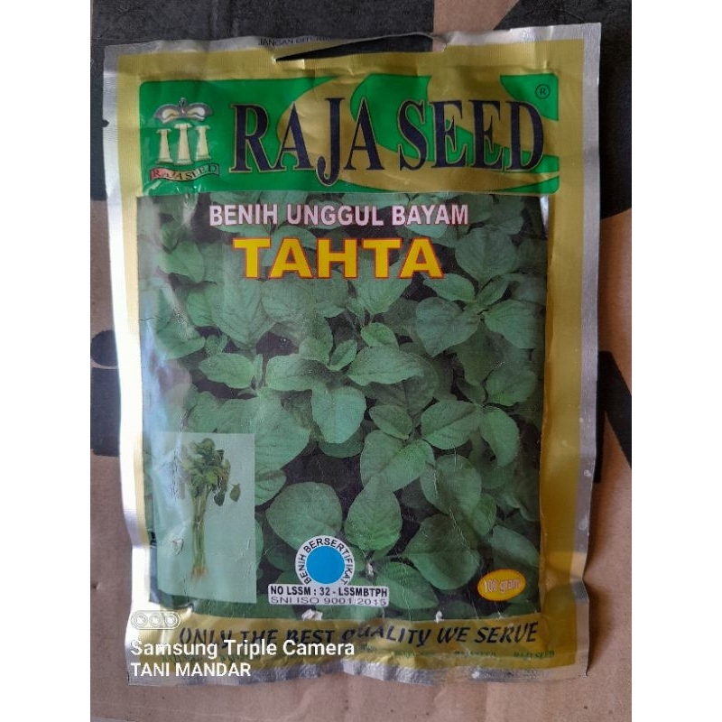BENIH UNGGUL BAYAM RAJA SEED BAYAM MERAH BAYAM HIJAU