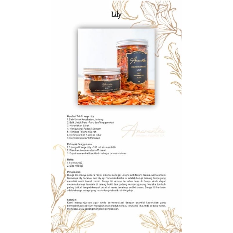 

AMARANTEA LILY 1KG