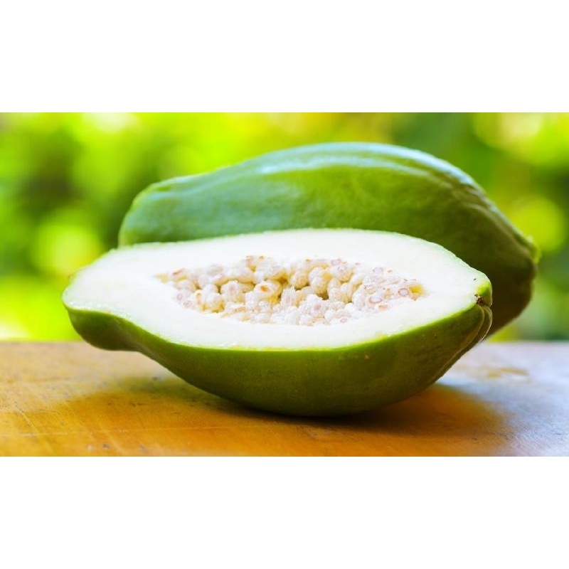 

pepaya muda, pepaya sayur ,pepaya sawut, pepaya sayur.