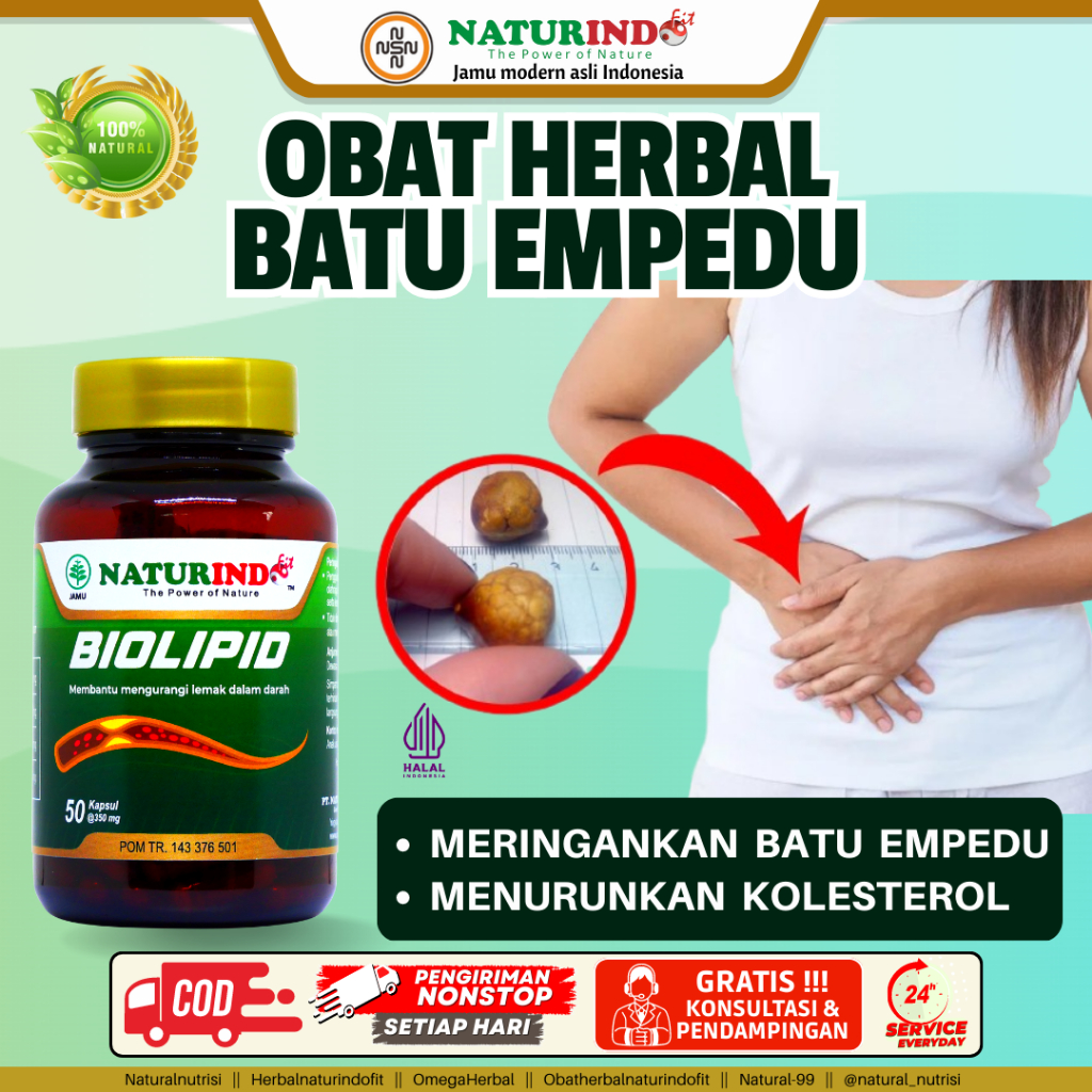 Obat Herbal Batu Empedu Daun Jati Cina Kapsul Jati Belanda Penurun Kolesterol Penurun Lemak Alami Biolipid