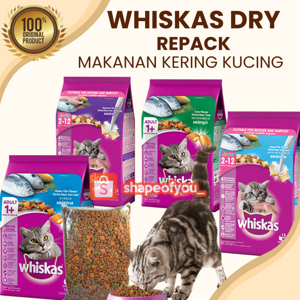 Whiskas Dry Makanan Kucing Kering Adult Junior setara Wiskas Pouch Pakan Kering Kucing Hemat