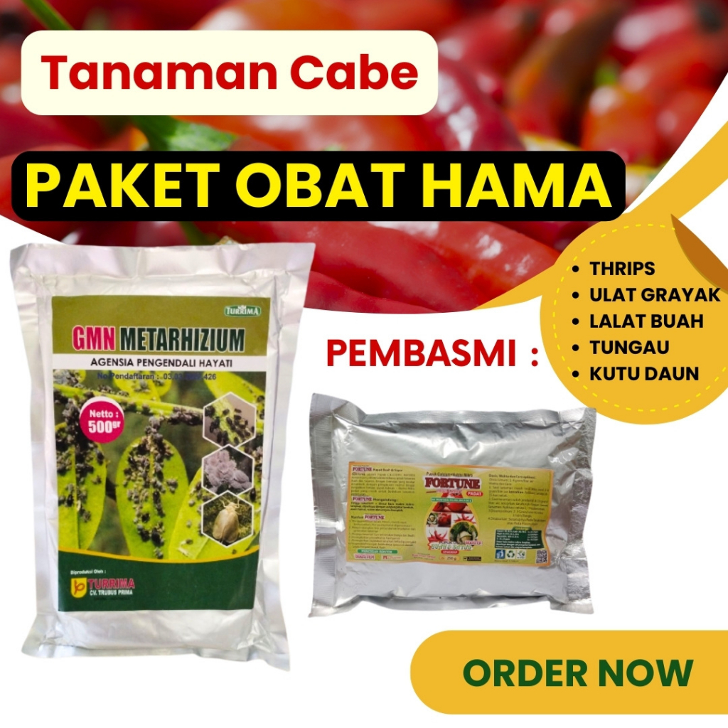 Obat Cabe Busuk Dan Perontok, Paket Obat Hama Cabe Anti Patek, Pupuk Buah Cabai