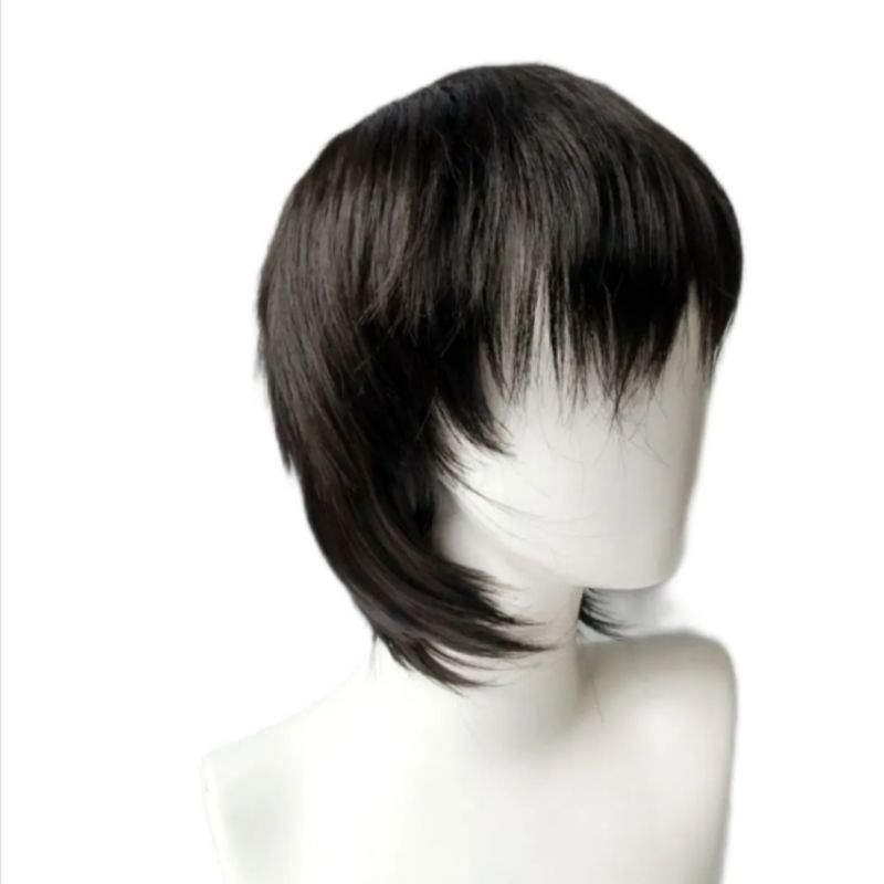 Wig Pria Pendek Lurus Dengan Poni dan Gondrong belakang Rambut Palsu Pria Versi Cowok Korea Dengan P