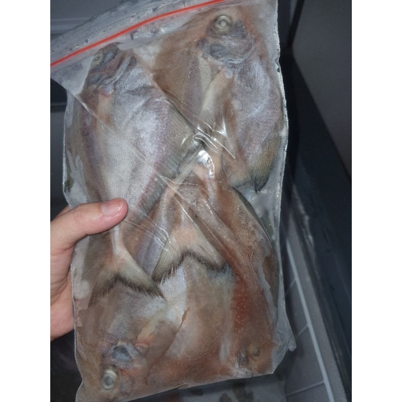 

Ikan Bawal Hitam 1kg 10ekor Sudah dibersihkan Ready to cook