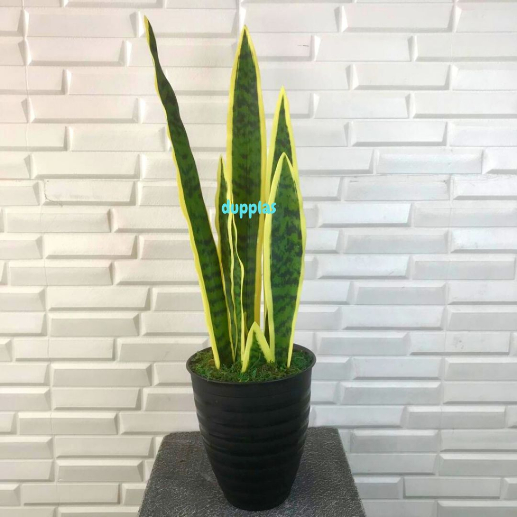 Pohon Artificial Lidah Mertua X10 Pot Tawon Pirus Hitam Dekorasi Rumah