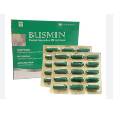 BUSMIN STRIP ISI 10 KAPLET