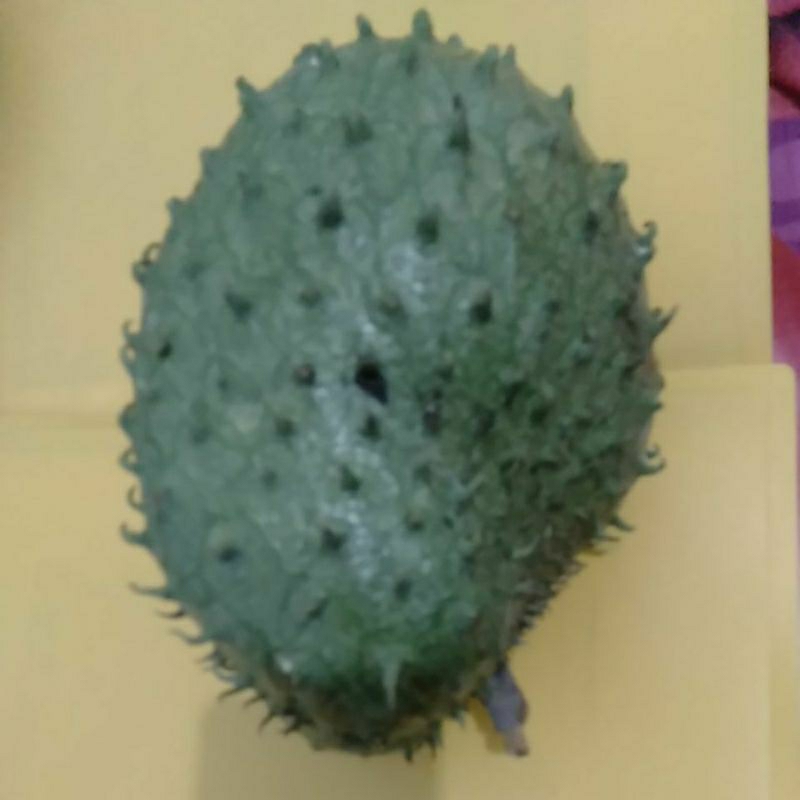 

BUAH SIRSAK RATU MATANG SEGAR