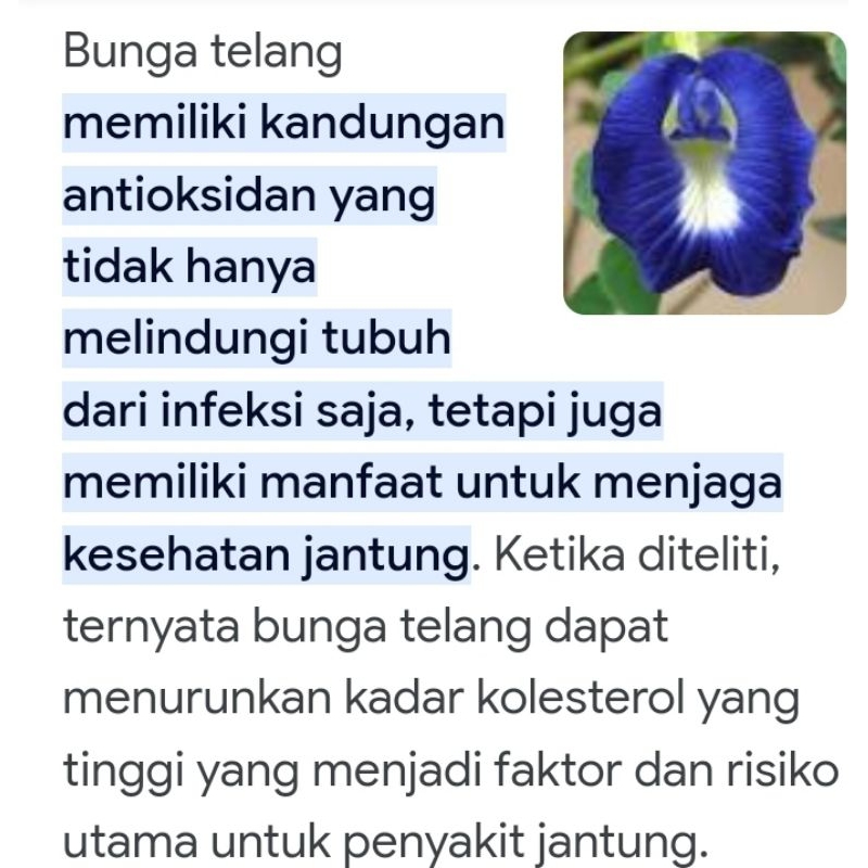 

10pcs WEDANG TELANG KOMPLIT JERUK KERING