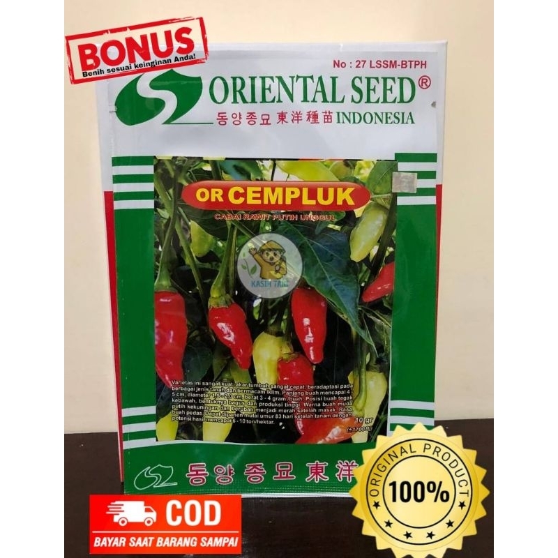 Benih Cabe Rawit OR Cempluk dari Oriental Seed