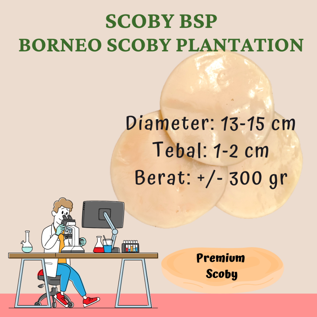 

BIBIT SCOBY BORNEO KOMBUCHA UNGGUL, KUALITAS PREMIUM, ORGANIK, BESAR, TEBAL, MENANG LOMBA