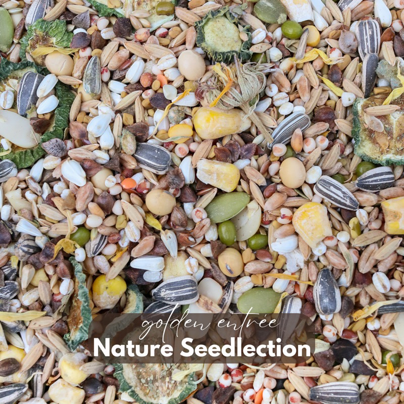 KILOAN makanan hamster syrian GOLDEN ENTRÉE Nature Seedlection sehat pokok no pellet vegan bagus ter