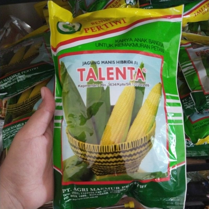 Harga talenta Terbaru Jun 2026 | BigGo Indonesia