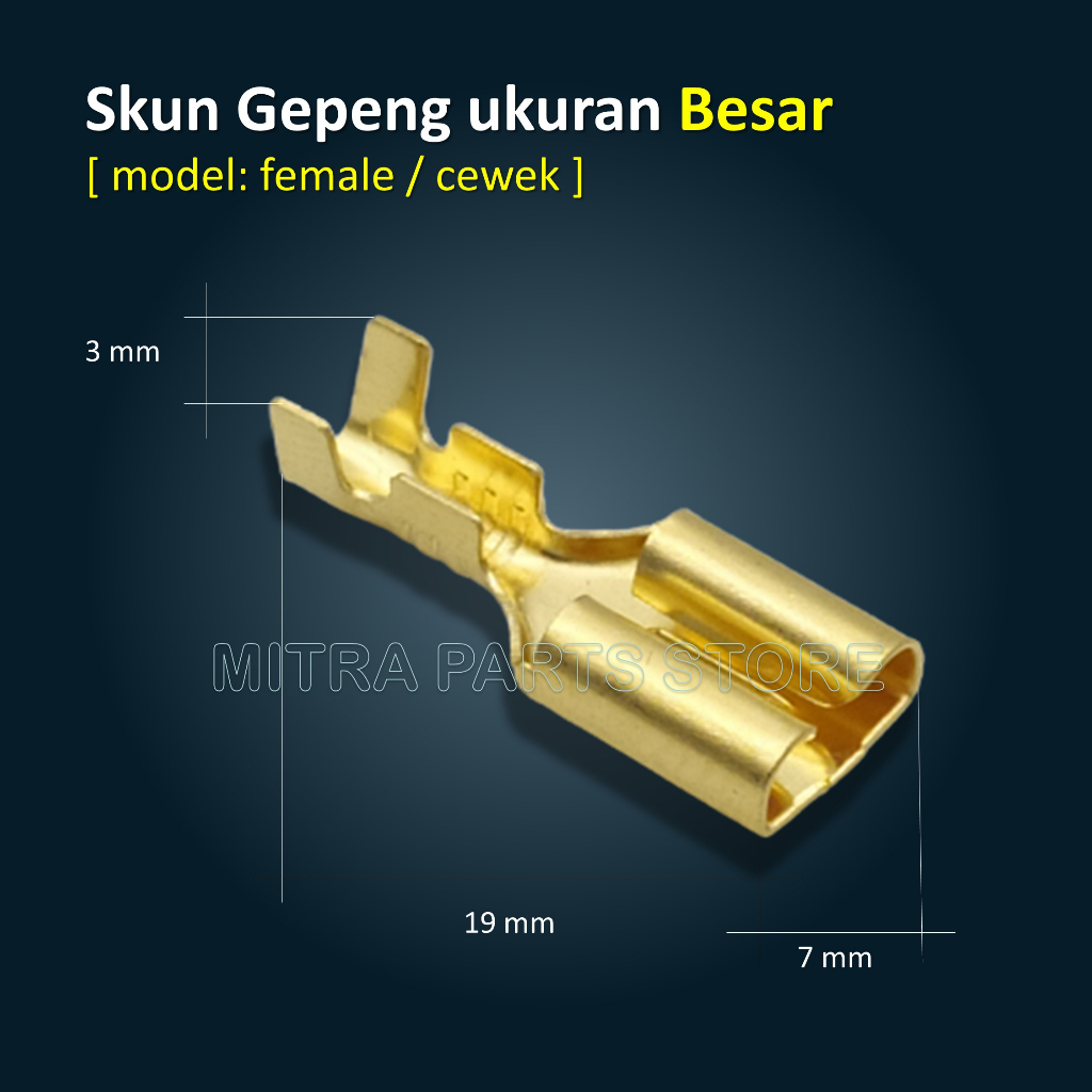 Skun Gepeng Besar Male Female Cowok Cewek / Sekun Kabel / Skun Kabel Motor / Soket Kabel Motor - Isi 10 Pcs