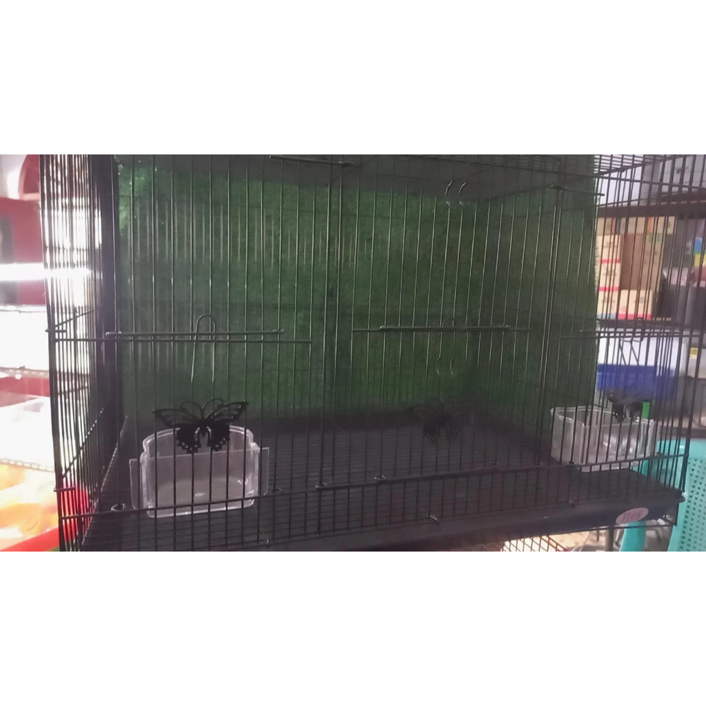 Kandang Burung Kucing Anjing SugarGlider kotak butterfly 60x40x40