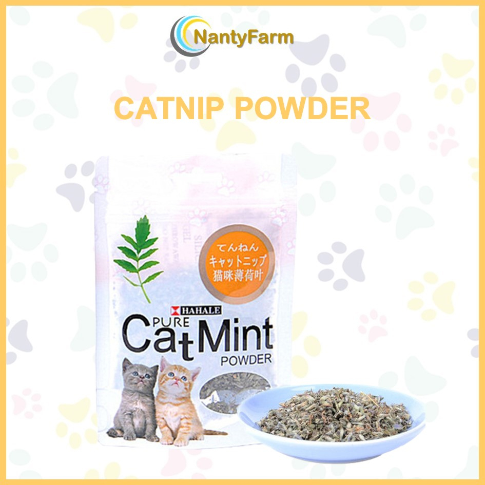 Catnip Powder Cat Mint Powder Kucing