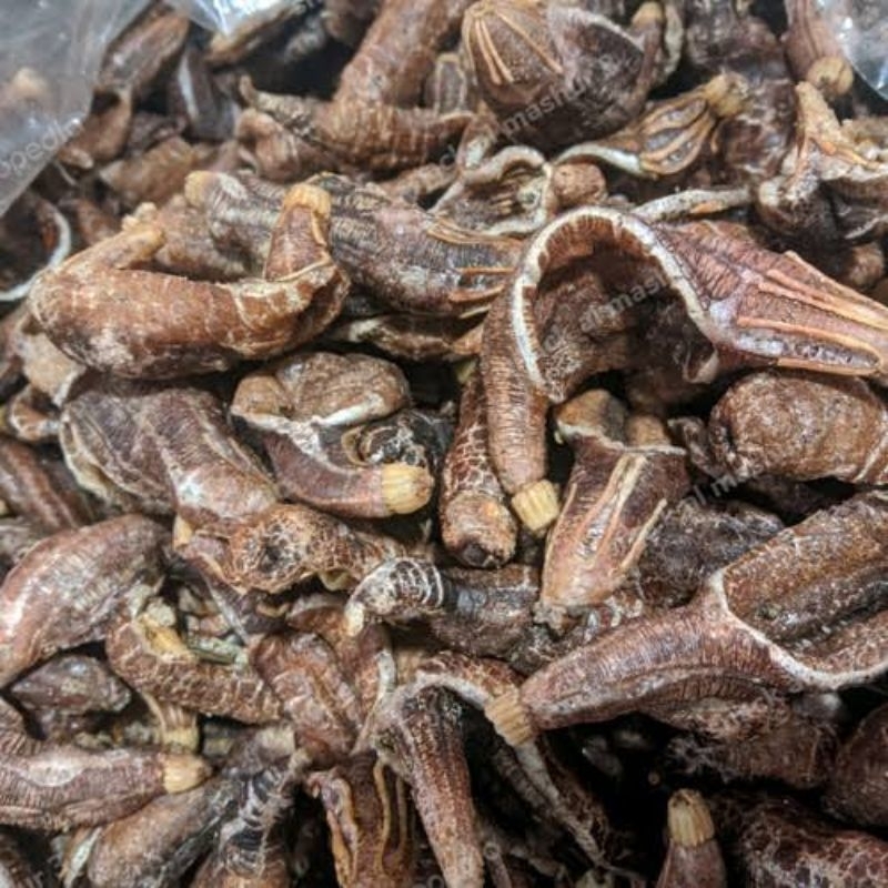 

KERUPUK TERIPANG HITAM / BLONYO SUDAH GORENGAN BERAT 500 gr