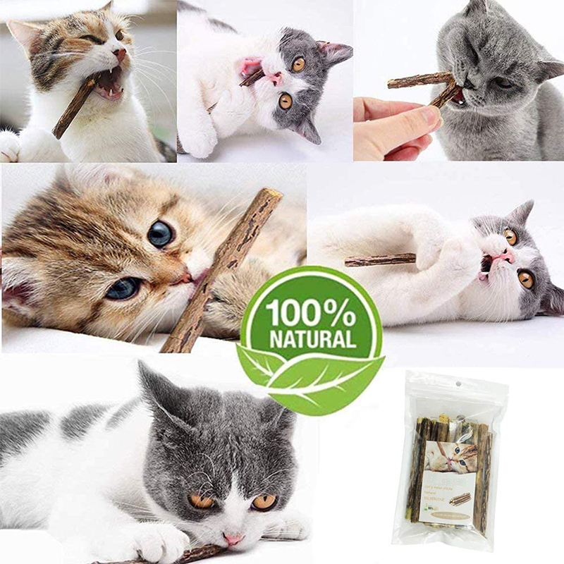 Catnip Stick Kucing Cemilan Kucing Matabi Snack Natural Matabi  Mainan Kucing