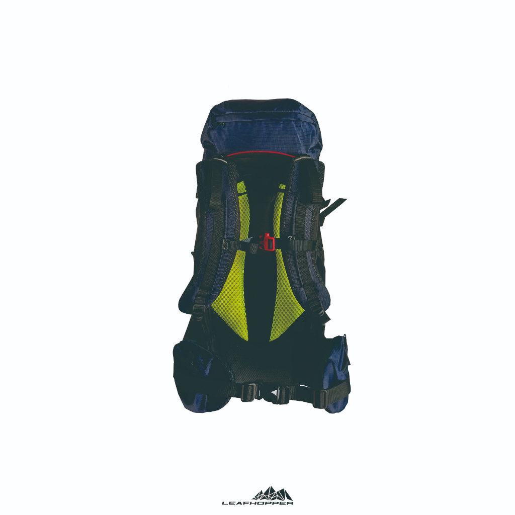 LEAFHOPPER Glacier 52L Carrier Pria/Wanita free rain cover