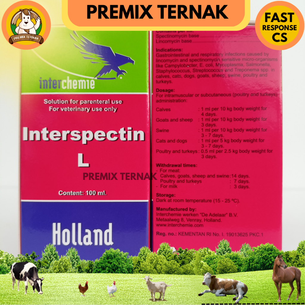 INTERSPECTIN L 100 ml | Injeksi Spectolin Spektolin | Like LS Injection &amp; Pantex Spectolin