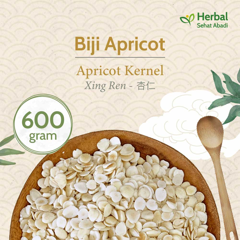 

Apricot Kernel 600 gram / Xing Ren (杏仁) / Biji Apricot