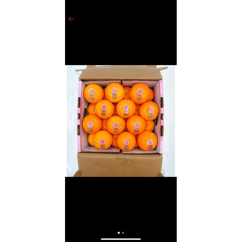 

Jeruk Mikam Sakura premium super manis | Jeruk Honey Murcot ex Jepang 4,5 kg/ Box