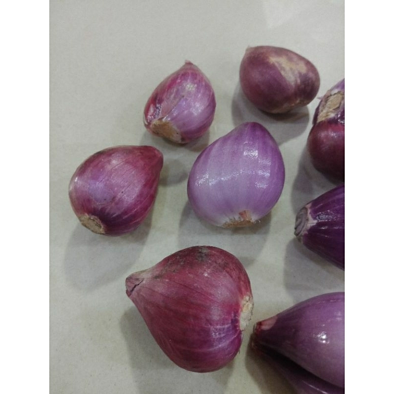 

Bawang Merah Asli Murah 1kg 500gr Fresh
