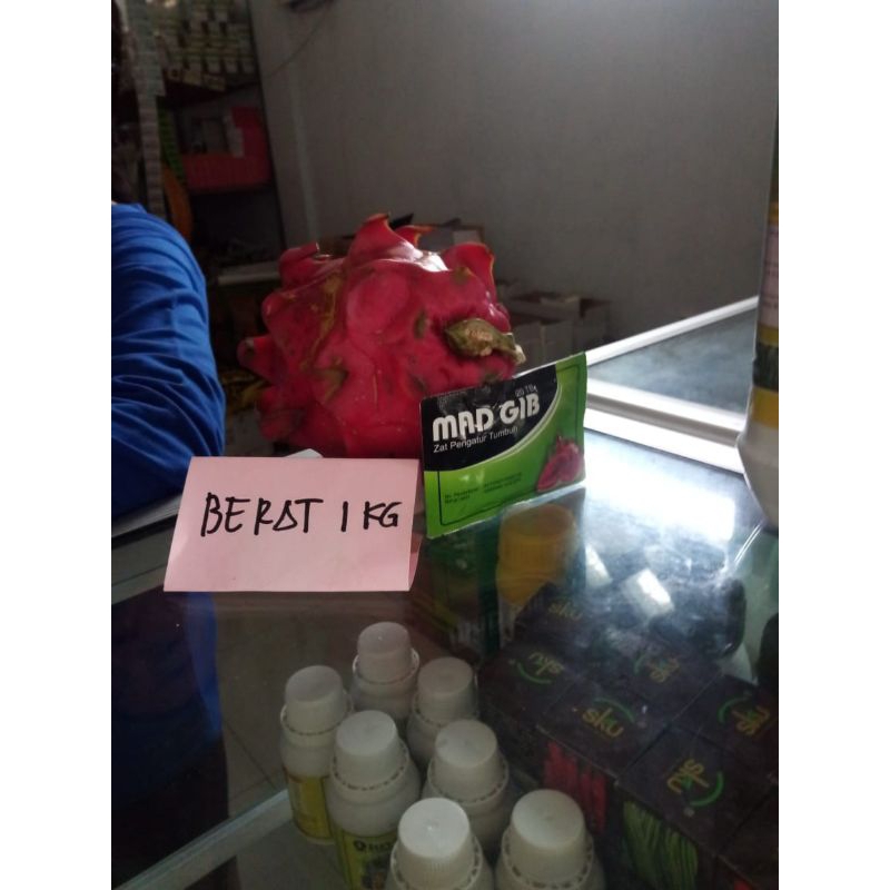 ZPT MAD GIB pembesar  buah naga