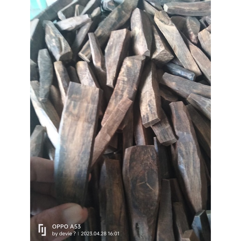 

Kayu gaharu ramin asal kalimantan