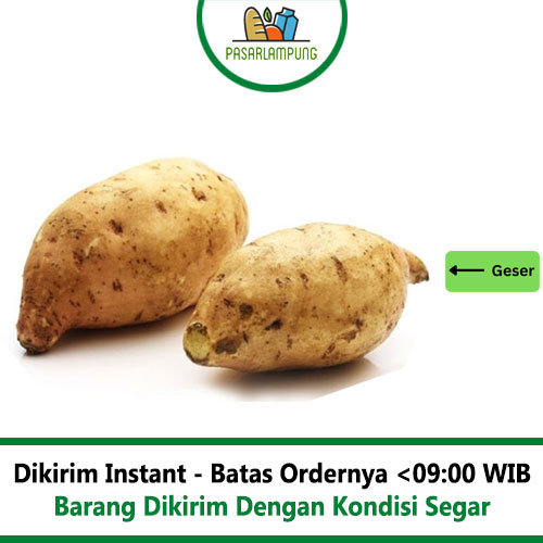 Ubi Mantang Madu 900-1000 Gram Pasar Lampung