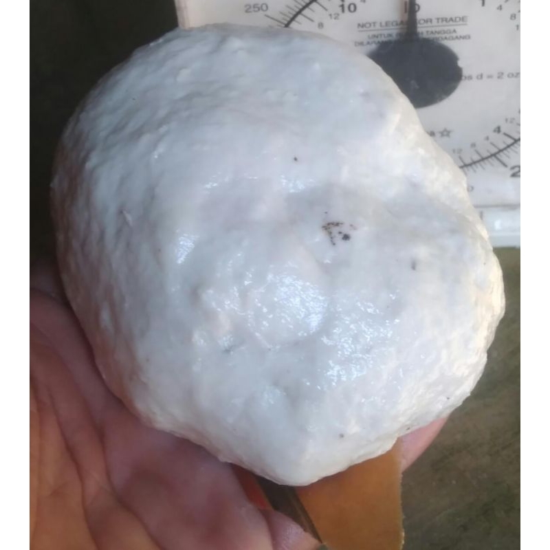 PULUT BURUNG ANTI LALAT,BERSIH & TIDAK BERBAU 1kg (BISA COD)