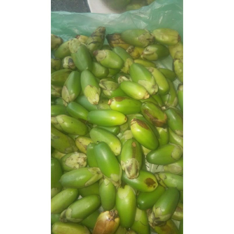

Buah Jeruju Fresh