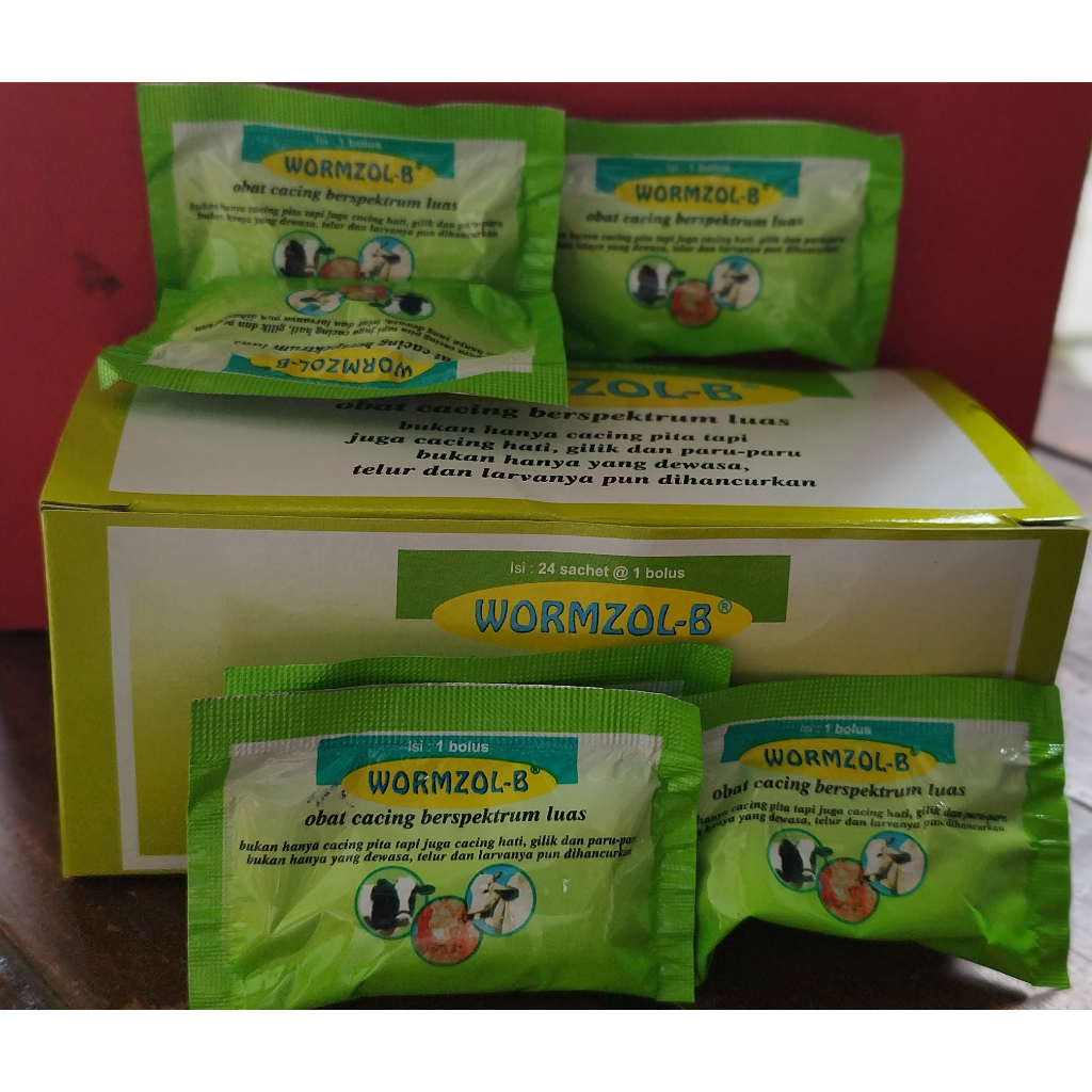 Obat Cacing Wormzol-B eceran