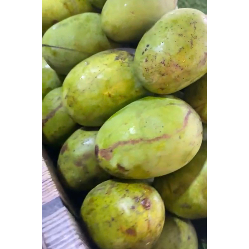 MANGGA KWENI 1KG BANDUNG | BUAH SEGAR BANDUNG | WARUNG CEU ENGKAY