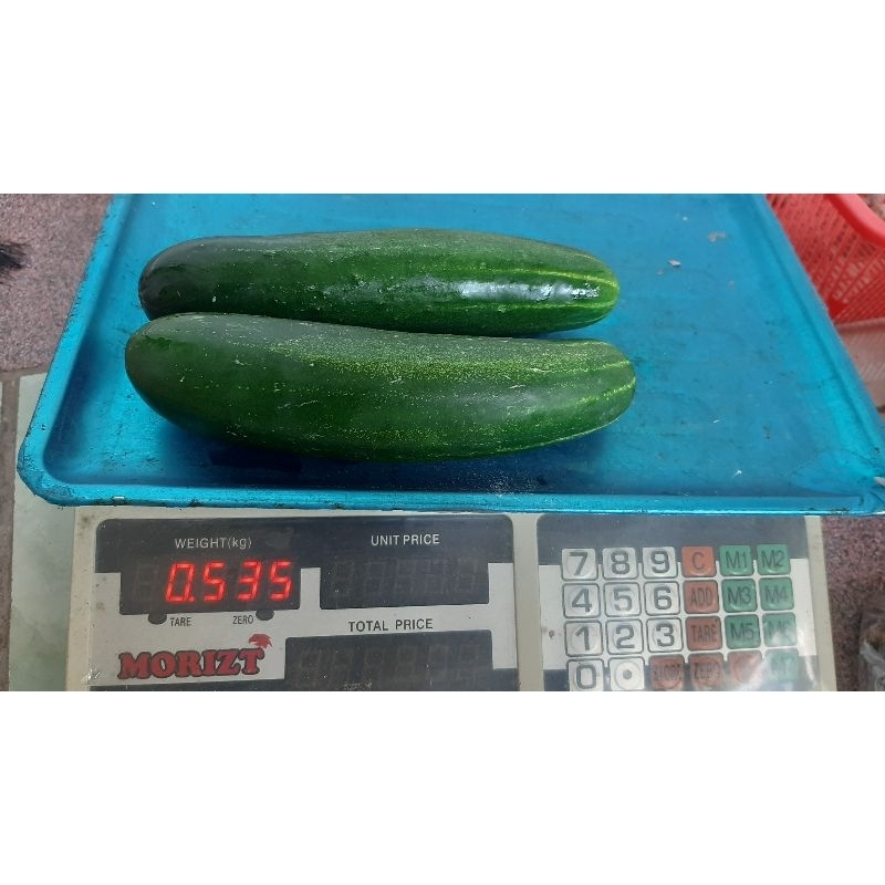 

Timun Hijau 500 Gram