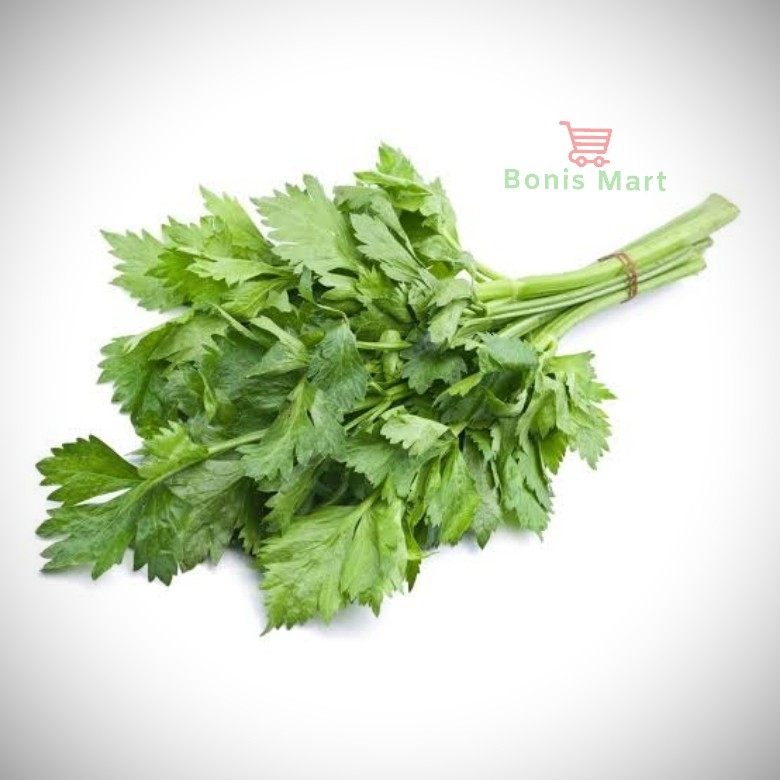 

Daun Seledri Atau Daun Sop Segar Dan Fress 1 Ikat.