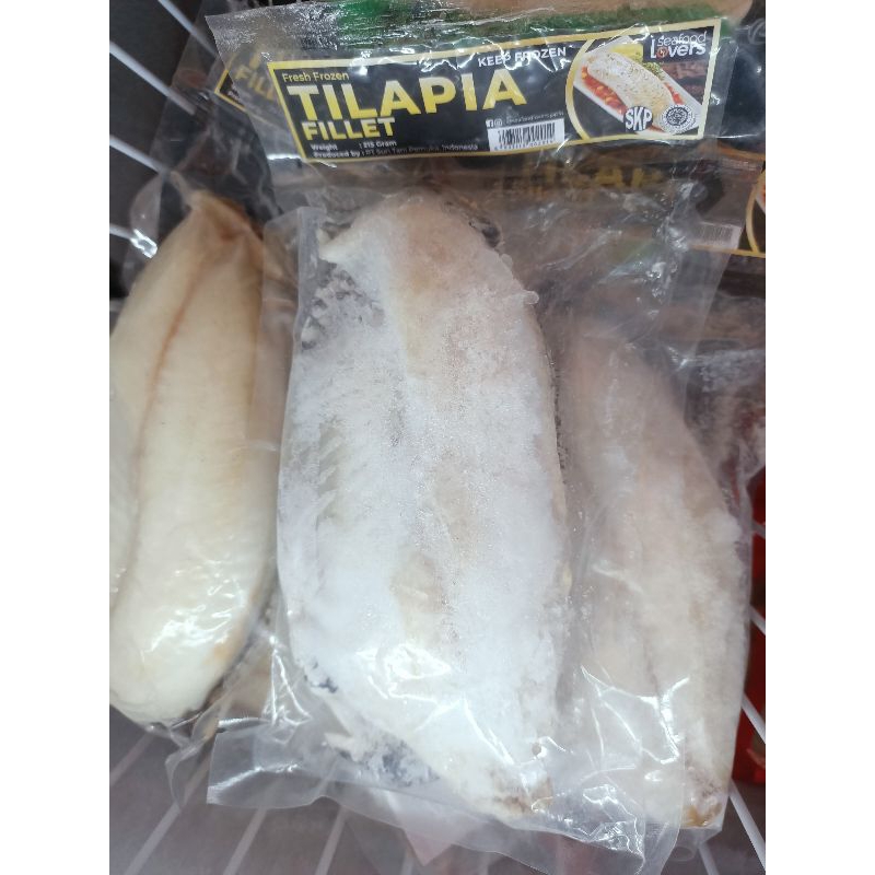 fillet ikan tilapia frozen food