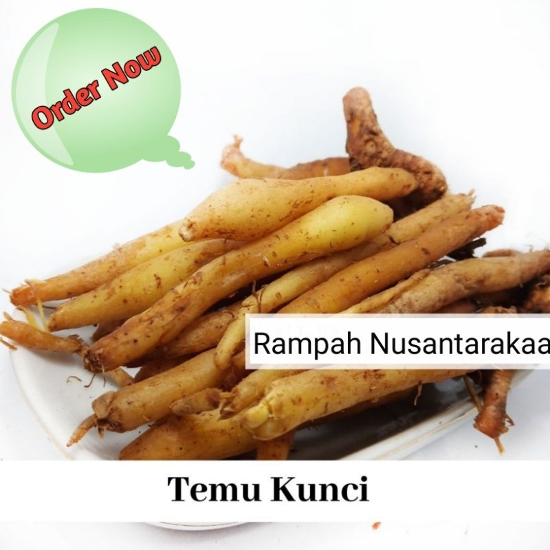 

Temu kunci 1 kg