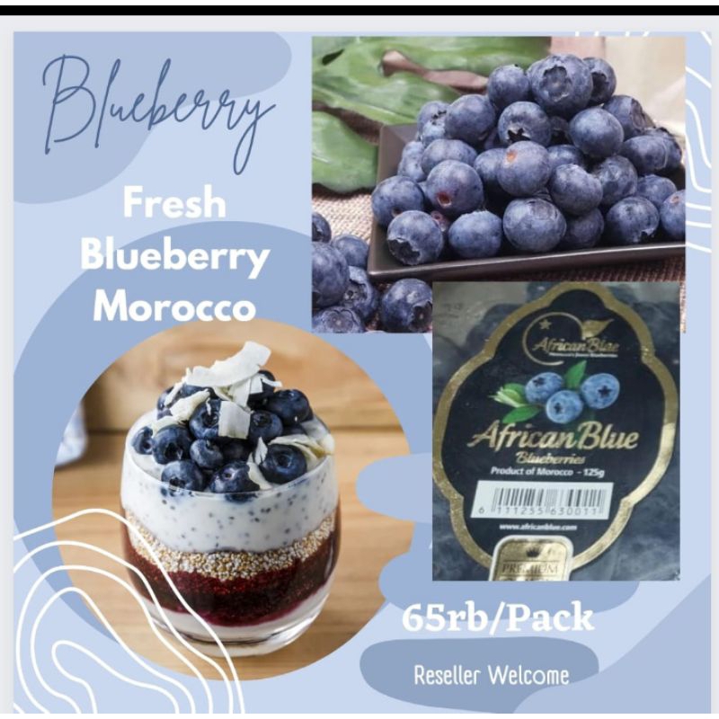 

Blueberry Import Maroko Premium