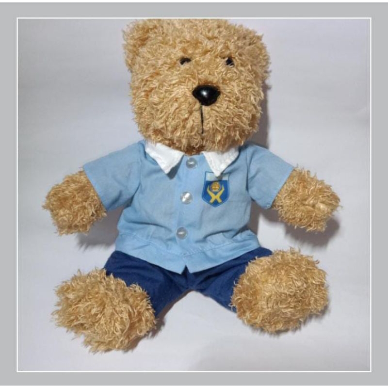 Boneka Teddy bear kostum