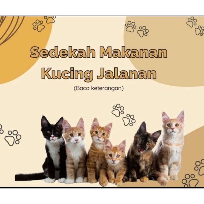 se'dekah makanan kucing