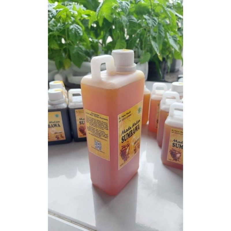 

Madu Hutan Sumbawa / Madu Hitam / Madu Asli / Madu Murni / Oleh-oleh Sumbawa / Khas Sumbawa NTB