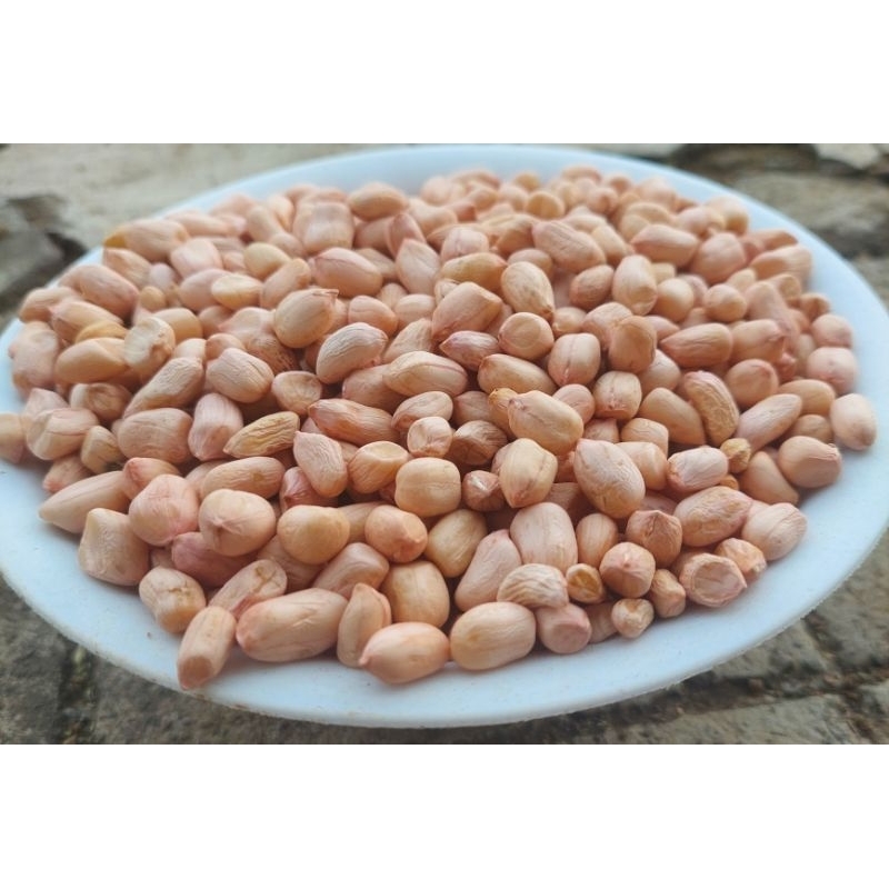 

Kacang Tanah 1 Kg