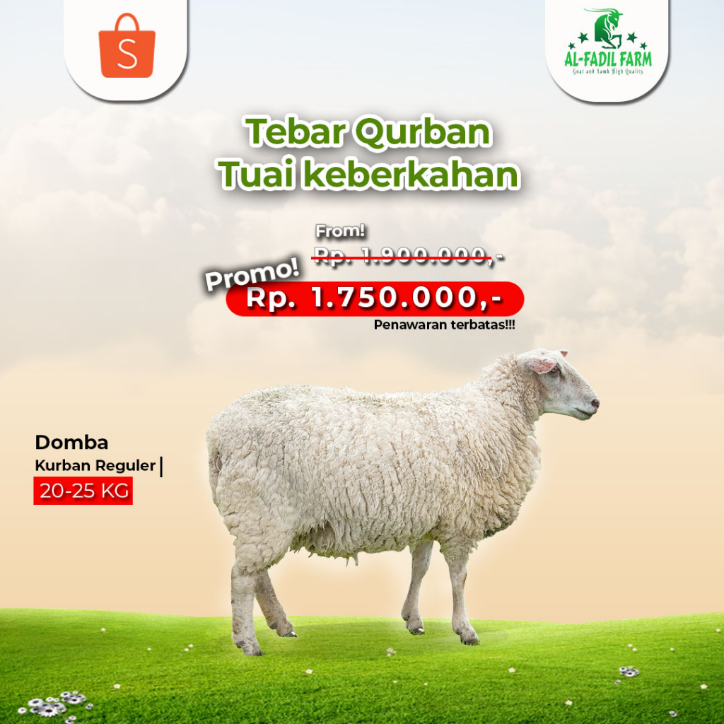 

Tebar Hewan Qurban Grade A 20-25Kg