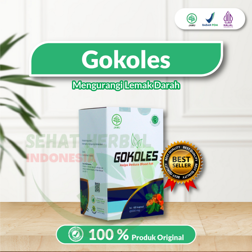 GOKOLES ASLI OBAT  KOLESTEROL PALING AMPUH - Obat kolestrol 100% Original