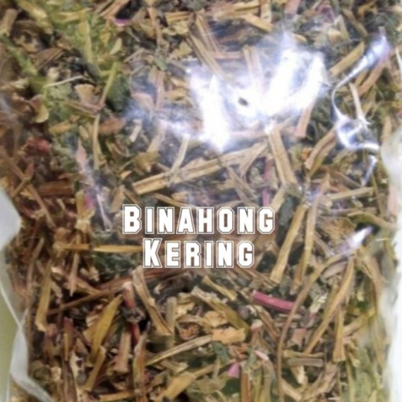 

[ORIGINAL] DAUN BINAHONG KERING TERBAIK 100 GRAM